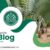 Palm-Tree-Exporter-rev
