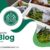 Trusted Indonesian Live Plants Exporter